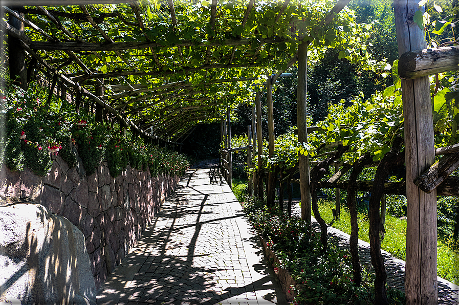 foto Giardini Trauttmansdorff - Paesaggi dell'Alto Adige